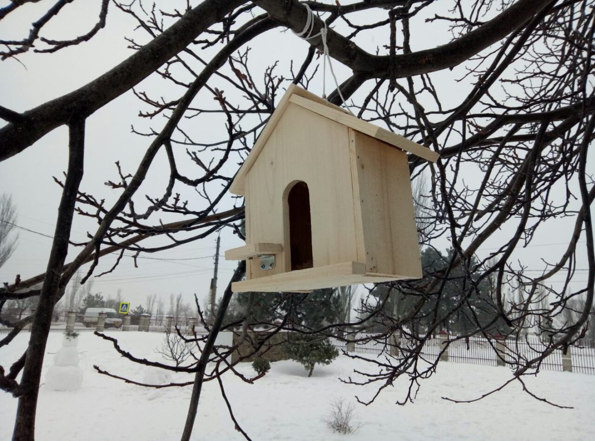 Avem grijă de păsărele pe timp de iarnă