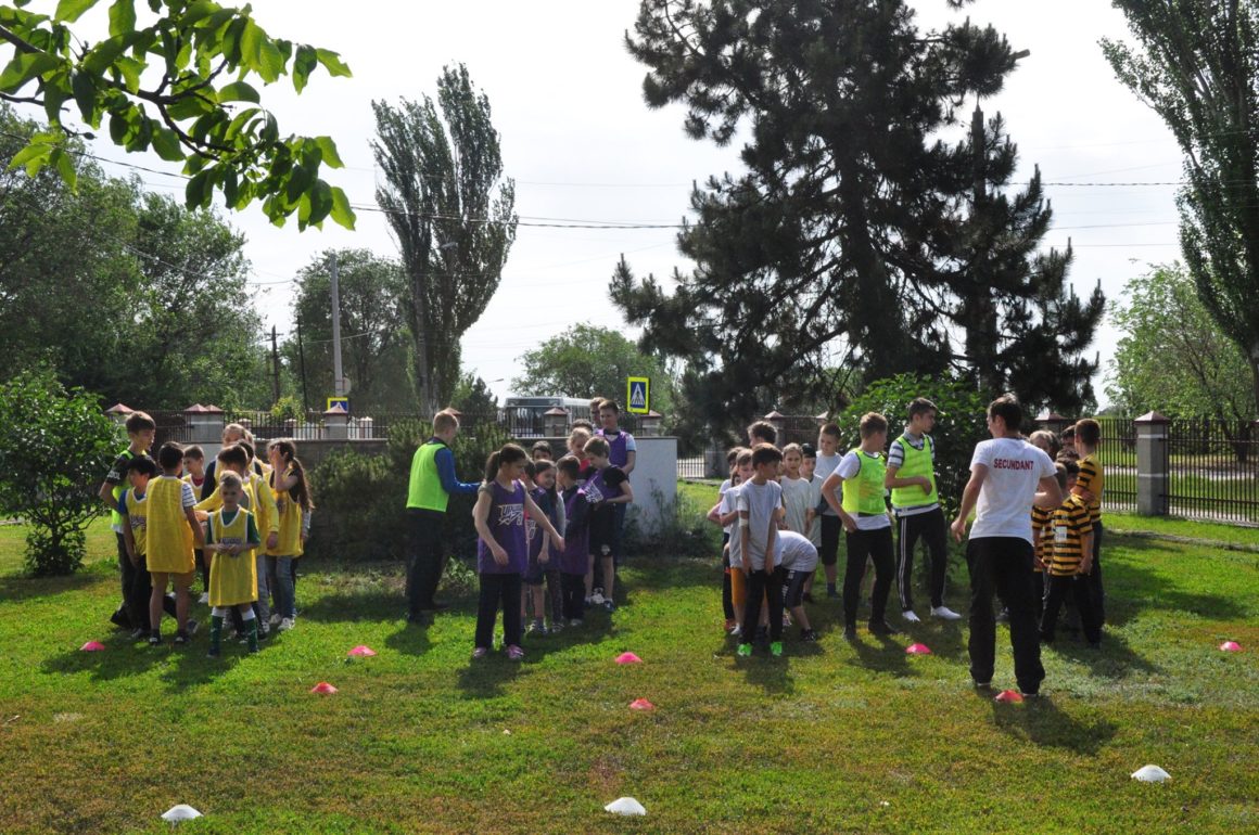 Starturi vesele la EXCELSIS